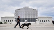 Trump administration asks U.S. Supreme Court to uphold order aimed at ending birthright citizenship