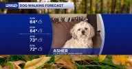 Tuesday's Dog Walking Forecast: A few t-storms are still a paw