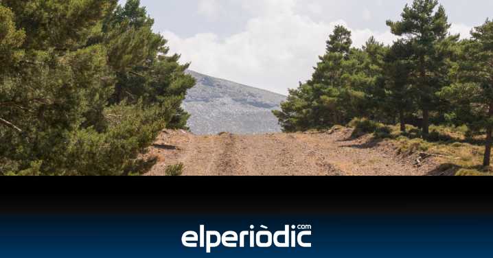 Teulada invierte cerca de 23.000 euros en medio ambiente, en su mayoría para la prevención de incendios