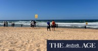 Dee Why shark attack: Man dies at Long Reef Beach