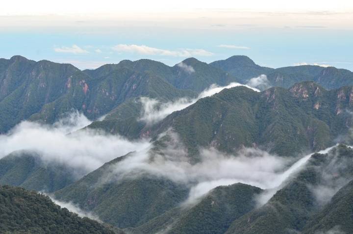 La Corte Suprema condenó al Estado nacional y a Jujuy por daño ambiental en el Parque Nacional Calilegua