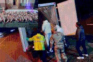 Decomisaron 1.000 kilos de dorados sobre Ruta 14