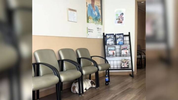 Man Brought His Dog Into Oklahoma ER And The Dog Patiently Waited As If He Knew Something