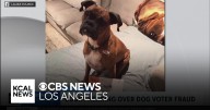 Orange County woman who registered dog to vote says she did so to "expose flaws" in voter system
