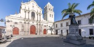 Entre basuras, captaron a un visitante inesperado en el norte de Popayán