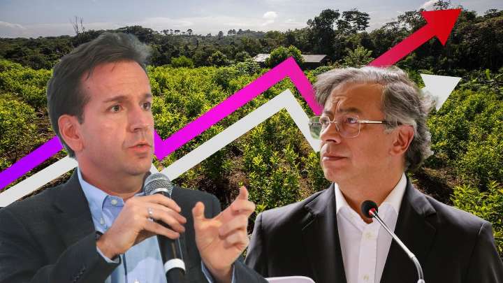 ¿Descertificación?: 8 gráficas de Daniel Mejía que demuestran los malos resultados del Gobierno Petro en la lucha contra las drogas