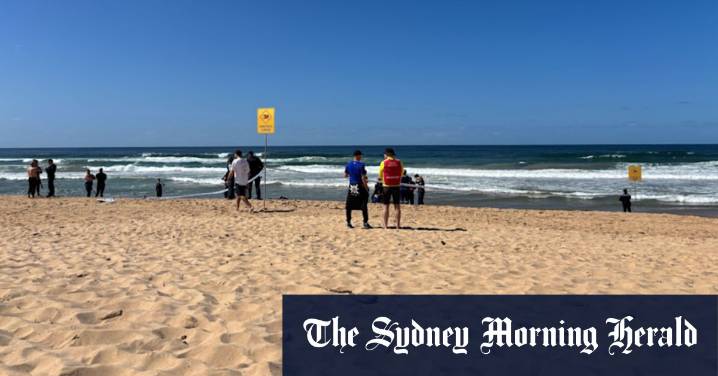 Person dies in shark attack at Dee Why
