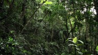 Dad Faces Charges After Taking Son, 13, On Cellphone 'Detox' In The Jungle