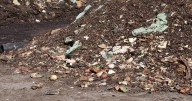 Gallatin County to hold free workshops with composting services set to expand