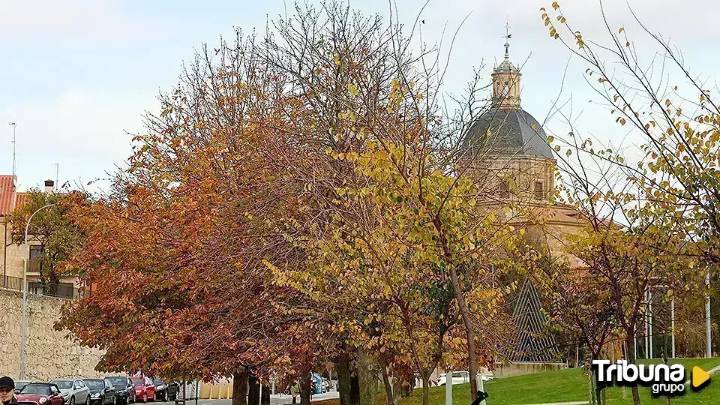 Salamanca, beneficiaria del plan nacional de renaturalización urbana para afrontar el cambio climático