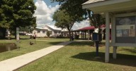 Scott residents on possible measures to protect local ducks
