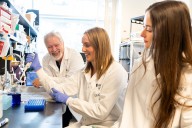 UVic research suggests psychedelics may help heal brain injuries