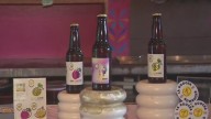 La Boocha Kombucha celebrates Hispanic Heritage Month with bold new flavor