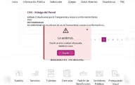 Falla Transparencia por sistema informático