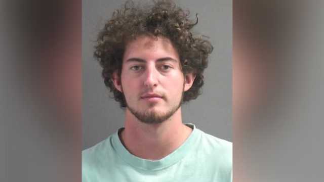 Florida man illegally killed 13 American Alligators, officials say