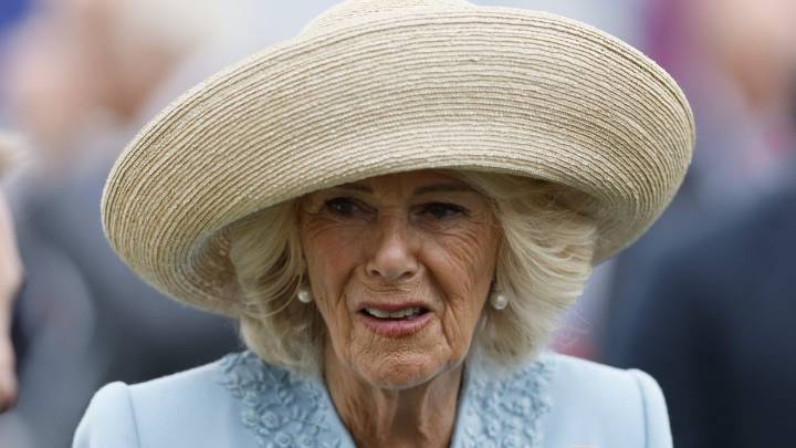 Queen Camilla 'fought off attacker with high heel,' book claims