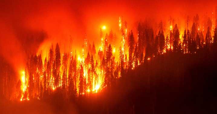 Grove of giant sequoia trees burns in California's Sierra National Forest