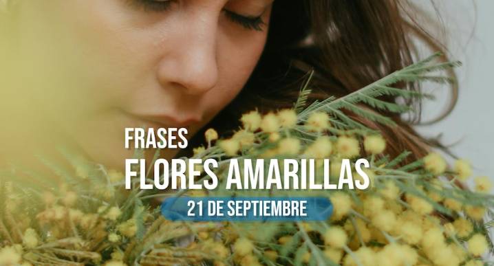 100 frases y dedicatorias de flores amarillas para enviar el 21 de septiembre