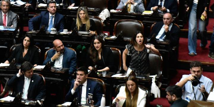Ex legisladores libertarios armaron un interbloque opositor en la Cámara de Diputados