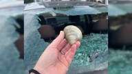 Massachusetts Bakery Owner Finds Car Window Shattered And What She Saw Leaves Everyone In Shock