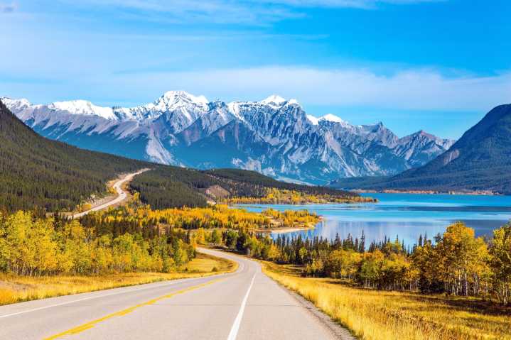 Just moved to Alberta? Here are 15 things you need to do this fall