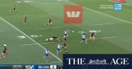 NRL Highlights: Bulldogs v Panthers