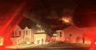 Dog dead after house fire in Davis County