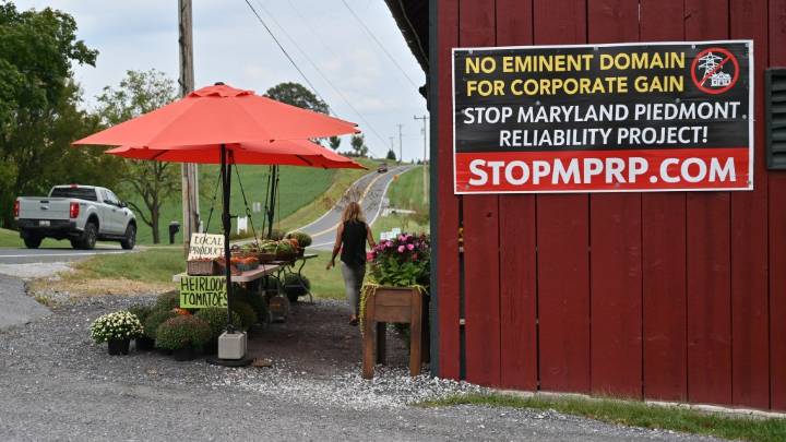 Carroll supports challenge to PSEG power line ruling