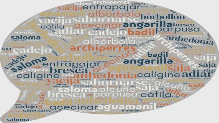 20 palabras que quizás no conocías y que te ayudarán a enriquecer tu vocabulario (XVII)