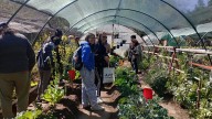 Más de 500 personas participaron de las capacitaciones de ‘Activá tu Huerta’ en toda la provincia