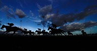 'He ran a blinder in the Wokingham' – Jason Heavey's Wednesday racing tips