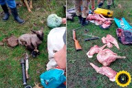 Detuvieron a un joven por abigeato y recuperaron un cordero vivo en Villaguay