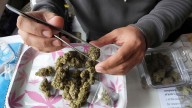 A look at where Thailand's cannabis laws stand