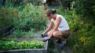 The Smart And Simple Tip That Cuts Down On Weeding Time In Your Garden