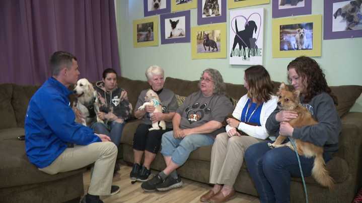 Mommy and Me Rescue faced with emotional relocation in Mt. Carmel