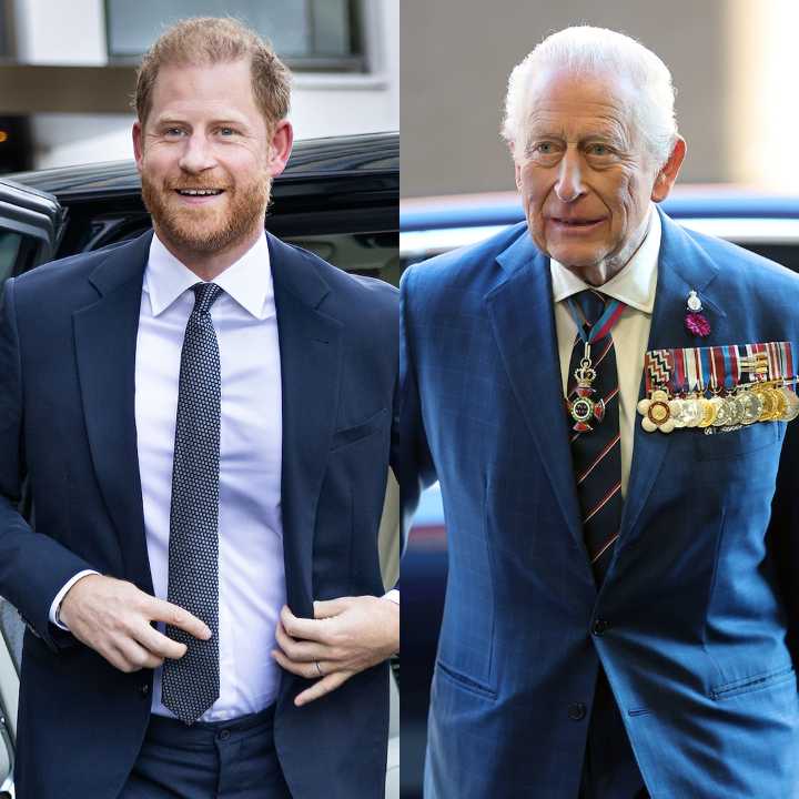 Prince Harry on King Charles Reunion Rumors