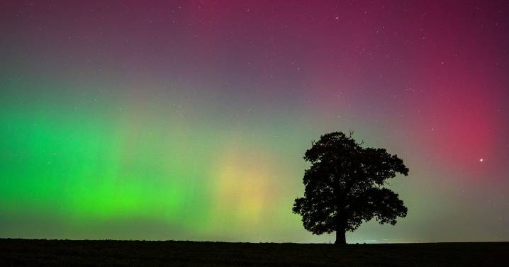 Northern Lights to dazzle across England tonight as Met Office forecasts 'likely' aurora