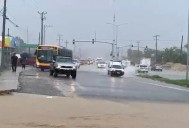 Transporte público opera con limitaciones en Los Cabos