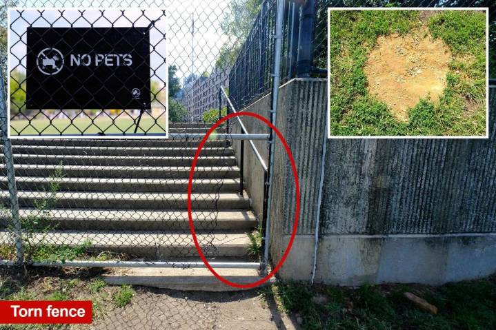 Exclusive | Coaches, parents confront brazen rogue dog owners at NYC park