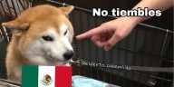 ¿Septiemble? los mejores memes que dejó el temblor de 5.2 que sorprendió a CDMX