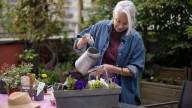 Gardener Warned About Aggressive Pollinator Plant: 'Cut It Back Before It Seeds'
