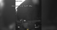 Hillsborough County deputies looking for pickup truck in hit
