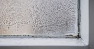 Keep windows drier during autumn with 1 household item that's not a dehumidifier