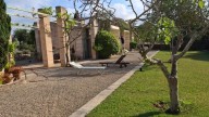 Fraude con casas vacacionales en Mallorca: “No tenemos noticias del dueño de la agencia inmobiliaria, no ha pagado a nadie”