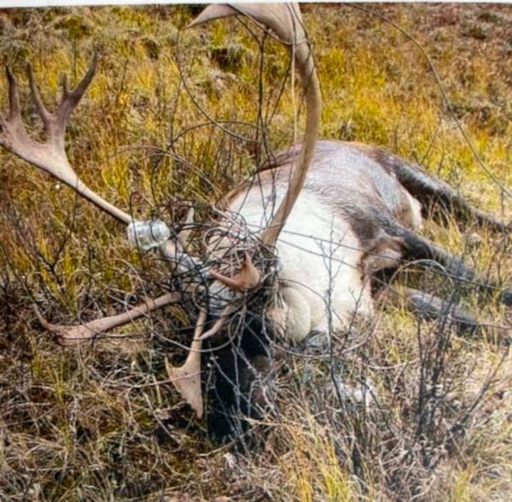 Former Dene national chief calls for Sahtu leaders to take action on marred Canol Trail