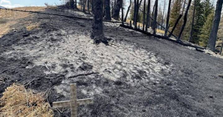 Containment increases on Dollar Lake Fire