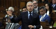 Committee gets nearly 1,000 budget submissions ahead of federal budget
