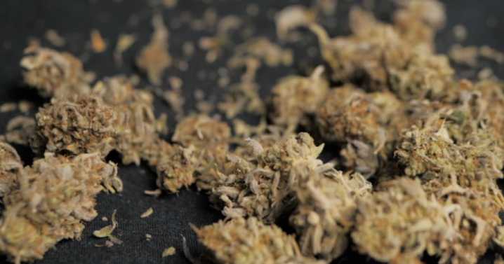 Abbott expected to issue executive order setting age requirements for THC