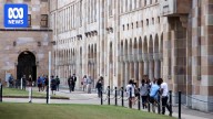 Senate inquiry calls for cap to vice chancellor pay as chair lashes 'rotten culture' hurting university staff and students
