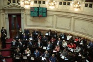 "Un freno a la crueldad". La oposición celebró la ratificación de la ley de emergencia en discapacidad